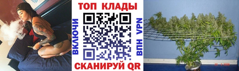 Купить наркотик аптеки Гай Конопля  МЕФ  СОЛЬ  ГАШ 