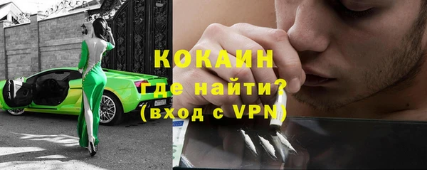 крисы Богородицк
