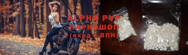 крисы Богородицк