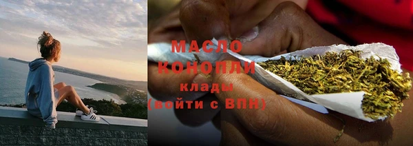 крисы Богородицк