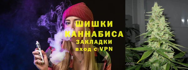 PSILOCYBIN Богданович