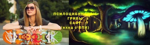 крисы Богородицк