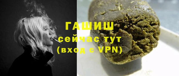 крисы Богородицк