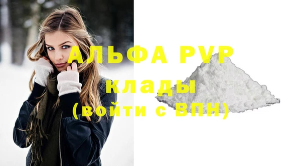 PSILOCYBIN Богданович