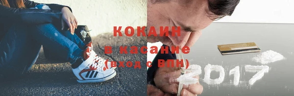 крисы Богородицк