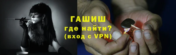 крисы Богородицк