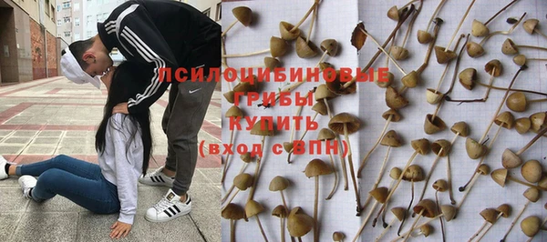 ПСИЛОЦИБИНОВЫЕ ГРИБЫ Богородск