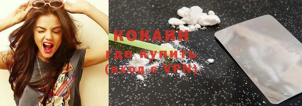 PSILOCYBIN Богданович