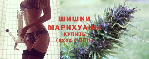 PSILOCYBIN Богданович
