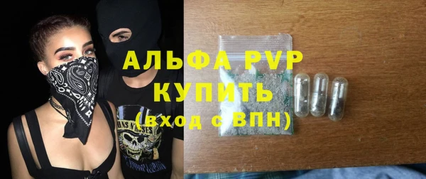 крисы Богородицк