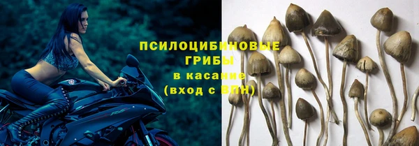 ПСИЛОЦИБИНОВЫЕ ГРИБЫ Богородск