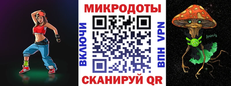 где купить наркотик  Гай  дарк нет состав  Галлюциногенные грибы Psilocybe 