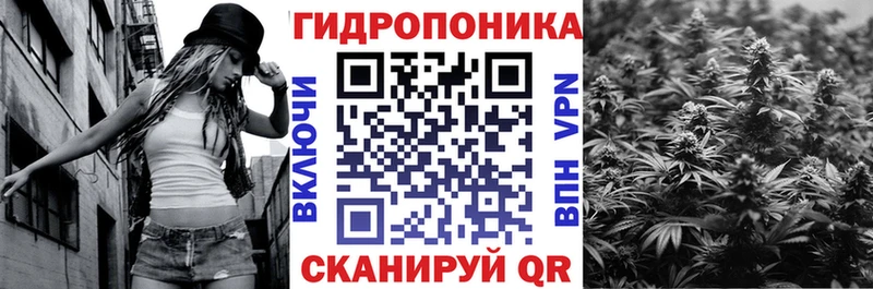 Марихуана индика  Гай 